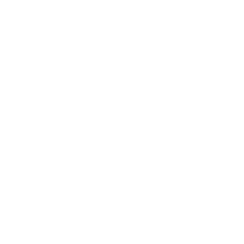 TikTok Logo